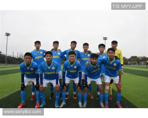 成都排球队逆袭之路揭秘：从低谷到巅峰的奋斗故事与荣耀时刻