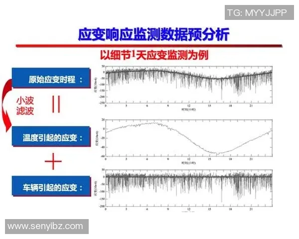 成都乒乓球队近期状态分析与表现评估的全面数据解读