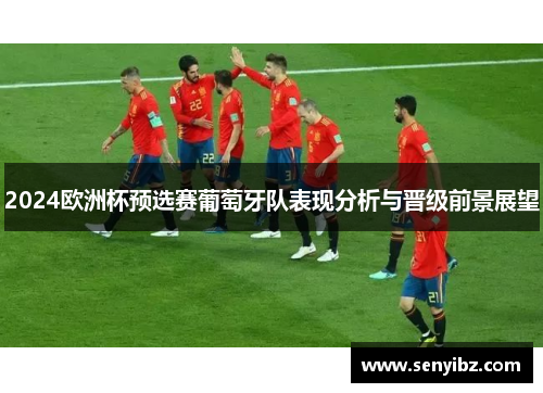2024欧洲杯预选赛葡萄牙队表现分析与晋级前景展望